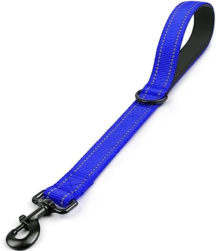 Joytale Short Dog Leash for Close Control & Training, 18", Royal Blue by Joytale
