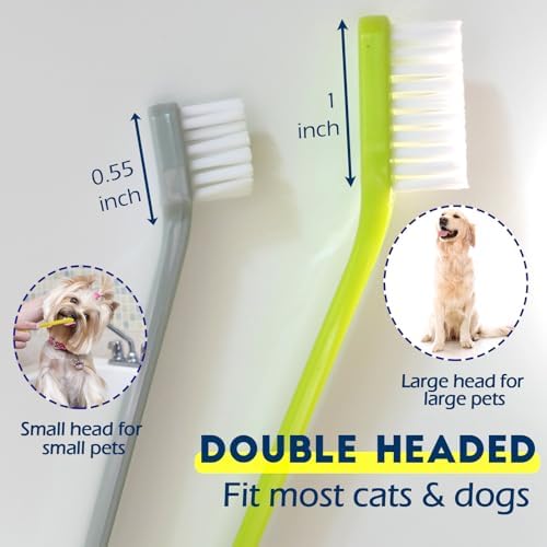 Dog Toothbrush Set of 10 - Dual Headed Tooth Brushes for Small to Large Dogs, Cat, Puppy, Kitten & Most Pet, Double Sided Teeth Cleaning Bulk Kit with Soft Bristles Long Handle, 10 Colors - Image 2