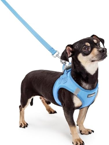 rabbitgoo Dog Harness Small Sized and Leash Set, Step-in Puppy Pet Vest by rabbitgoo
