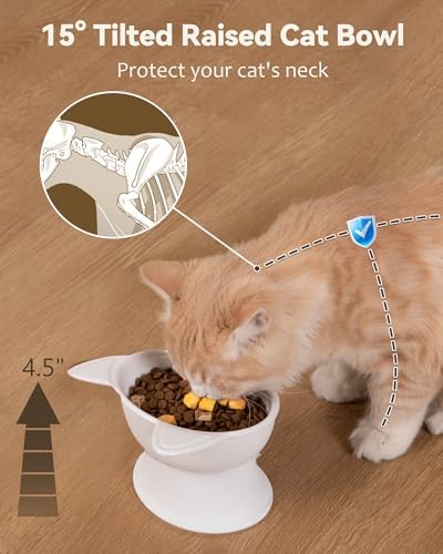 MateeyLife 2 Pack Elevated Cat Food Bowls for Indoor Cats & Kittens - Image 2