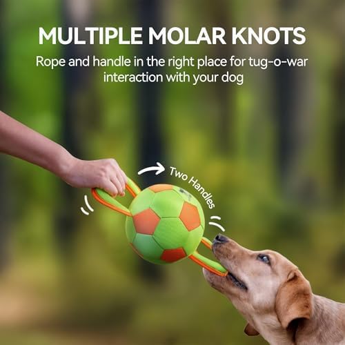 ALL FOR PAWS Dog Ball with Handles, Durable Dog Toy with Squeaker, Interactive Tug of War Ball Toy for Small and Medium Dogs, 12.6 x 5.9 x 5.9 Inch - Image 3