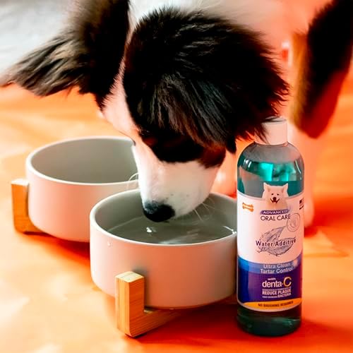 Nylabone Advanced Oral Care Pet Dental Water Additive, Liquid Tartar Remover & Breath Freshener for Dogs, Dog Teeth-Cleaning, Peppermint Flavor, 16 oz. - Image 2