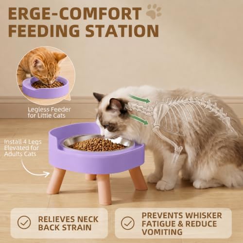 Elevated Cat Bowls, 2P Raised Cat Food and Water Bowl Set for Indoor Cats, Splash Proof with 2 Stainless Steel Food Bowls for Cats ＆ Puppies, Whisker Friendly and Dishwasher Safe - Purple - Image 5