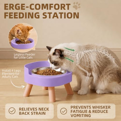 Elevated Cat Bowls, 2P Raised Cat Food and Water Bowl Set for Indoor Cats, Splash Proof with 2 Stainless Steel Food Bowls for Cats ＆ Puppies, Whisker Friendly and Dishwasher Safe - Purple - Image 5
