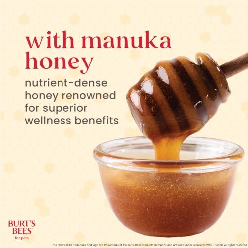 Burt's Bees Manuka Honey Fresh Mint Dog Dental Kit, 2.5 Oz - Image 7