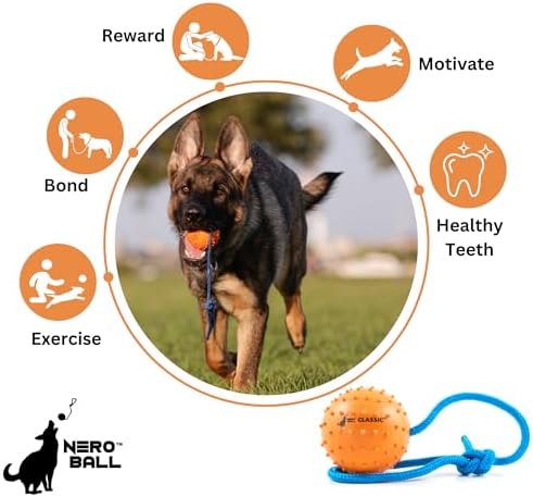 Nero Ball Classic The Original K-9 Dog Training Ball on Rope - Fetch, Training, and Reward. - Image 5