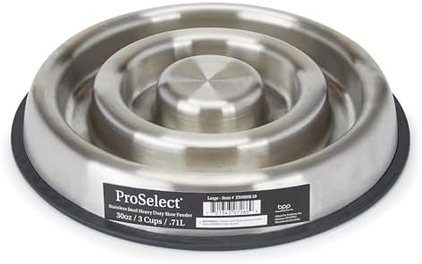 ProSelect Stainless Steel Heavy Duty Slow Feeder Large by PetEdge