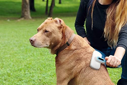 Pets First Premium Dog Brush & CAT Brush Self Cleaning Dog Slicker Hair Brush Easy to Clean Best Pet Grooming Brushes Shedding Grooming Tools for Dogs and Cats. Beautiful Gift for the Groomer! - Image 6