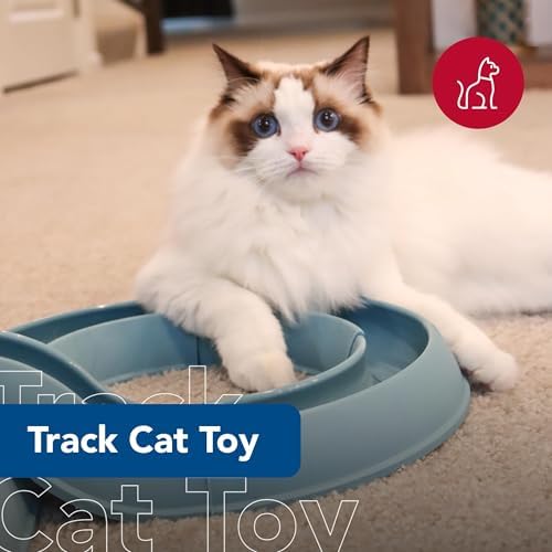 Coastal Pet Turbo Track Cat Toy - Cat Ball Toy & Racetrack - Easy Assembly - Slate Blue (1 Pack) - Image 2