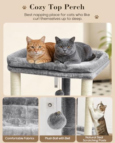 SYANDLVY Small Cat Tree with 2-Tier Perch Platforms, Scratching Post Tower - Image 4