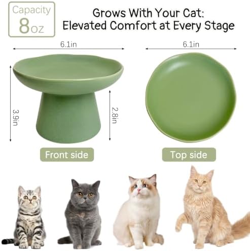 VCEPJH Raised Cat Food Bowls Shallow Cat Plate Ceramic Elevated Cats Dish 6.1in Flat Anti Whisker Fatigue Wide Pet Food & Water Feeder for Indoor Kitty Kitten (Green) - Image 2