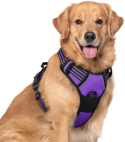 rabbitgoo Dog Harness, No Pull for Large Dogs with 2 Leash Clips, Pet Vest by rabbitgoo