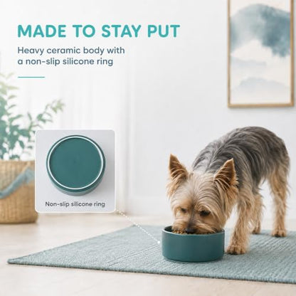 Havniva Ceramic Dog Bowls, 6.1” Dog Food and Water Bowl, Pet Feeding Bowl - Image 4