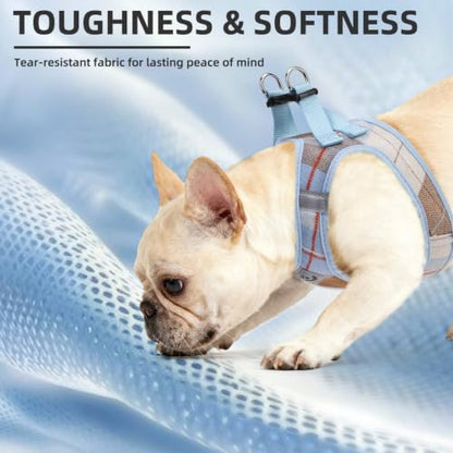 PUPTECK Dog Harness, Collar and Leash Set No Pull for Small Medium Sized - Image 6