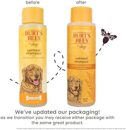 Burts Bees for Pets Oatmeal Dog Shampoo with Honey, Unscented, 16 Fl Oz - Image 4