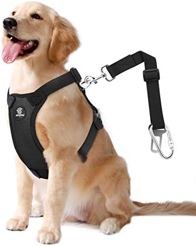 VavoPaw Dog Seat Belt Vest Harness for Car, 2 in 1 Seatbelt Buckle by VavoPaw