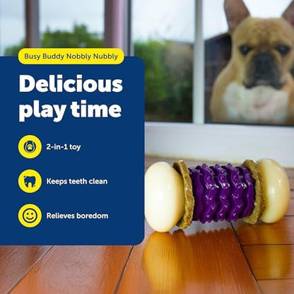 PetSafe Busy Buddy Nobbly Nubbly Treat Holding Dog Chew Toy, Medium - Image 2