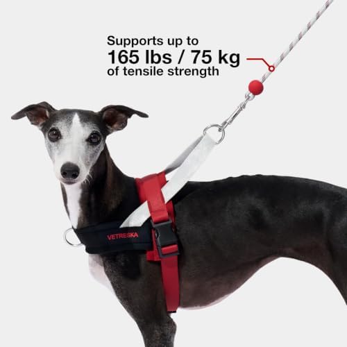 VETRESKA Crossbody Hands Free Dog Leash, 5FT Adjustable Leash (Circuit) - Image 4