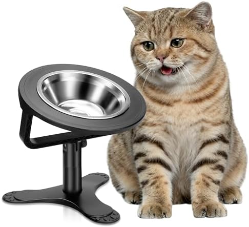 Raised Cat Bowls,15° Tilted Cat Food Bowls (1 Pack) by Tolopu