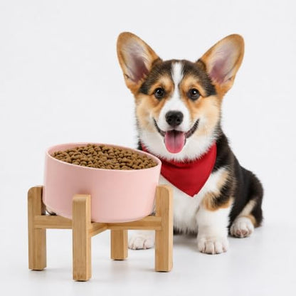 Petygooing Khaki Elevated/Raised 15°Slanted Ceramic Dog Bowl for Small and Medium Breeds, Tilted Anti Slip Pet Feeding Bowl,Food Water Dish with Stand for Cats and Dogs (28 OZ/3.6 Cups) by PetygooingforYOURLOVEDPET