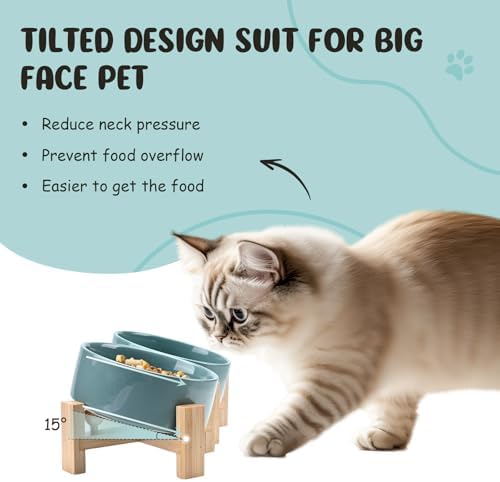 SPUNKYJUNKY 15° Slanted Ceramic Dog and Cat Bowl with Wooden Stand, Tilted Bulldog Food and Water Bowl No Slip Non-Spill for Cats Medium Dogs Big Face Pets 13.5 OZ (1.7 Cups, Light Green × 2) - Image 2