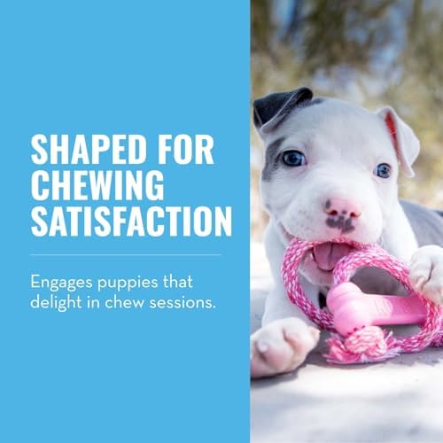 KONG Puppy Goodie Bone with Rope, Natural Rubber, for XS Puppies, Pink - Image 2