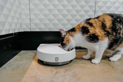 Cat Mate C500 - 5 Meal Digital Automatic Feeder with Ice Packs for Cats and Small Dogs - Image 2