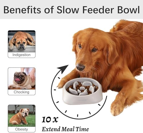 MateeyLife 1-Pack Slow Feeder Dog Bowls, 2 Cups, Dog Puzzle Feeder Bowl - Image 2