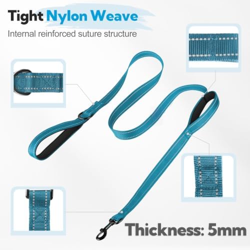 Dual-Handle Dog Leash 6FT, Heavy Duty Nylon with Reflective Threads,Blue - Image 3