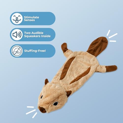 Best Pet Supplies 2-in-1 Stuffless Squeaky Dog Toy - Squirrel, Medium - Image 2
