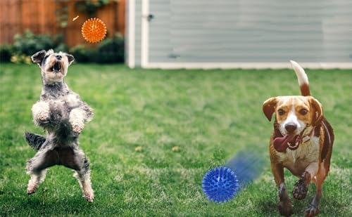 Jalousie Dog Squeaky Toys Value Set Non-Toxic Squeaky Balls Toss Fetch TPR Rubber Puppy Toys Spikey Dog Chew Toy for Small Medium Breed Pet Toys for Puppy (3 Pack Spiky Balls) - Image 6