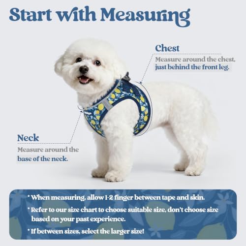 rabbitgoo Dog Harness Medium Sized and Leash Set, Step-in Puppy Pet Vest - Image 2