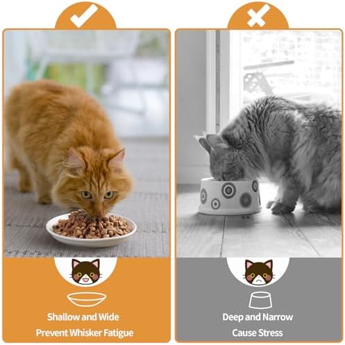 5.9 inch Ceramic Cat Bowls,Wide Shallow Dishes,Whisker-Friendly Plates,Food and Water Bowl for Indoor Cats,-10 oz,3 Pack - Image 6