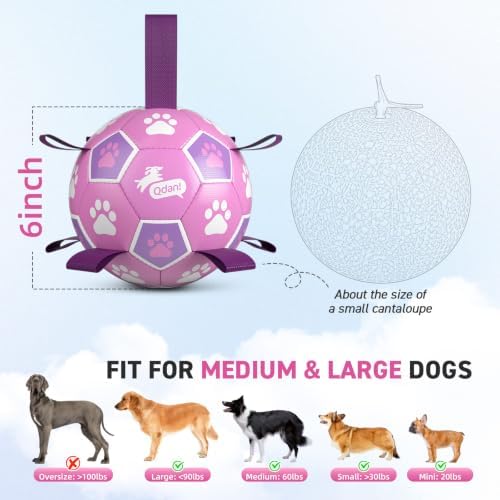 QDAN Dog Toys, Durable Dog Soccer Ball with Straps to Keep Them Busy,6 Inch - Image 6