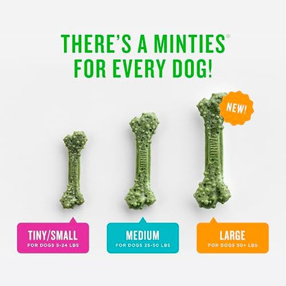 Minties Dental Chews for Dogs, 20 Count, Vet-Recommended Mint-Flavored Dental Dog Treats for Medium Sizes 25-50 lbs, Bones Clean Teeth, Fight Bad Breath, and Removes Plaque and Tartar - Image 5