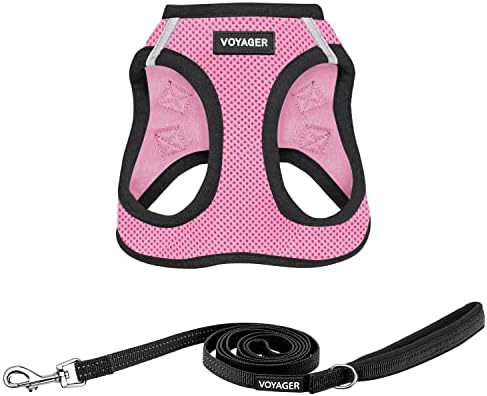 Best Pet Supplies Voyager Step-in Air All Weather Mesh Harness and Reflective Dog 5ft Leash Combo with Neoprene Handle, for Small, Medium and Large Breed Puppies - Pink Base, X-Small by BestPetSuppliesLLC