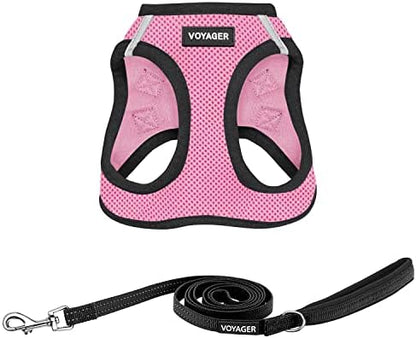 Best Pet Supplies Voyager Step-in Air All Weather Mesh Harness and Reflective Dog 5ft Leash Combo with Neoprene Handle, for Small, Medium and Large Breed Puppies - Pink Base, X-Small by BestPetSuppliesLLC