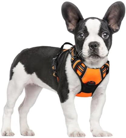 rabbitgoo Dog Harness, No Pull for Small Dogs with 2 Leash Clips, Pet Vest by rabbitgoo