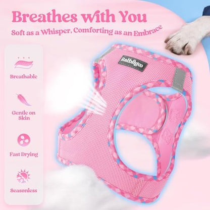 rabbitgoo Dog Harness Small Sized and Leash Set, Step-in Puppy Pet Vest - Image 3