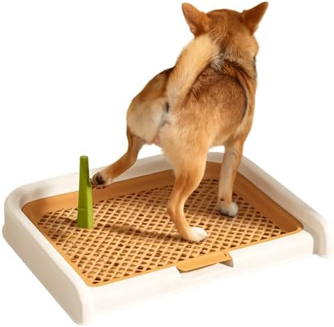 Indoor Dog Potty Tray with Removable Pee Post and Raised Mesh Grate, 23 x 17 in – Easy-Clean Puppy Pee Pad Holder for Dry Paws, Non-Slip – Fuskee - Image 6