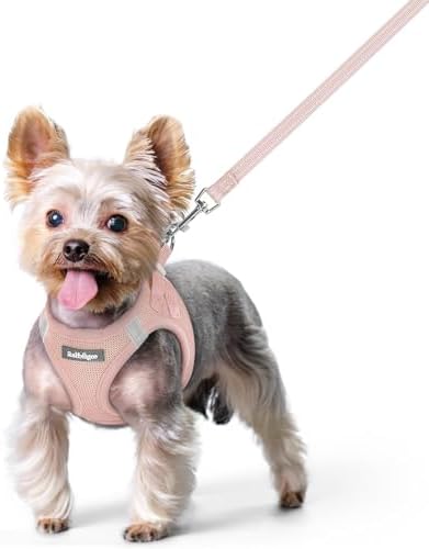 rabbitgoo Dog Harness Small Sized and Leash Set, Step-in Puppy Pet Vest by rabbitgoo