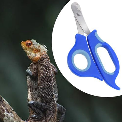 KEUYE Bearded Dragon Nail Clippers,Stainless Steel Bearded Dragon Toe Nail Clippers with Precise Angled Edges (Blue) - Image 5