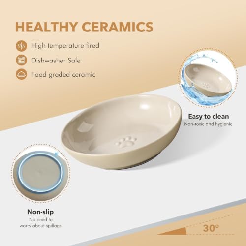 Havniva Elevated Cat Bowls, Cat Food and Water Bowl Set, Ceramic Cat Bowl - Image 3