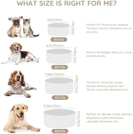 SPUNKYJUNKY 42OZ Ceramic Dog and Cat Bowl, Modern Cute Weighted Food Water Bowl for Replacement White (1 Pack) - Image 3