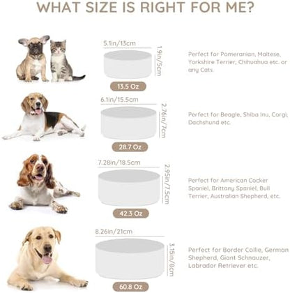 SPUNKYJUNKY 42OZ Ceramic Dog and Cat Bowl, Modern Cute Weighted Food Water Bowl for Replacement White (1 Pack) - Image 3