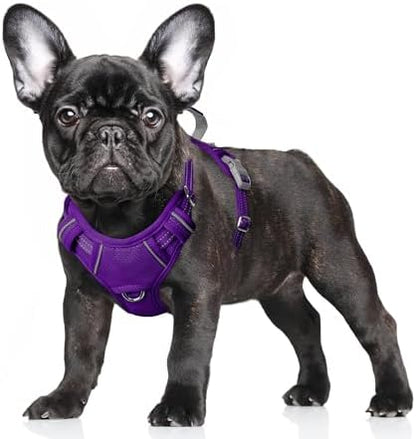BARKBAY Dog Harness for Small Sized Dog No Pull Dog Vest ID Tag Pocket by BARKBAY