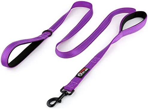 Primal Pet Gear Dog Leash 6ft Long,Traffic Padded Two Handle,Heavy Duty,Reflective Double Handles Lead for Control Safety Training,Leashes for Large Dogs or Medium Dogs,Dual Handles Leads(Purple) by PrimalPetGear