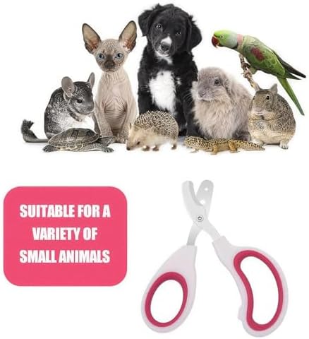 Stainless Steel Bearded Dragon Nail Clippers,Lizard Nail Clippers,Bearded Dragon Supplies,Bearded Dragon Nail Scissors for Small Reptiles,Turtle,Chameleon,Iguana，Hedgehog (Rose red) - Image 5