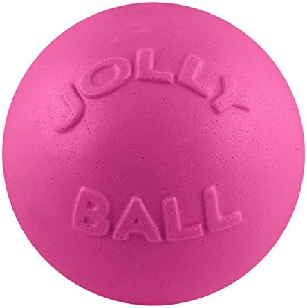Jolly Pets Bounce-n-Play Dog Toy Ball, 8 Inches/Large, Blueberry, (Model: 2508 BB) - Image 4