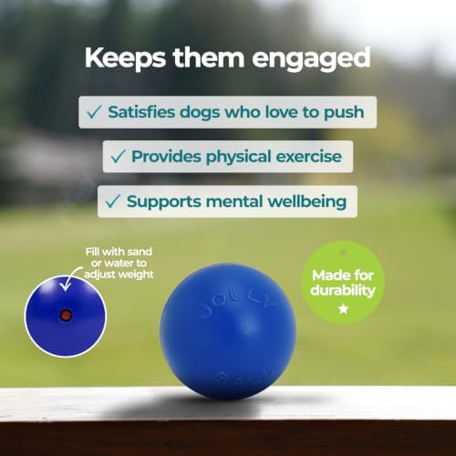 Jolly Pets Push-n-Play Ball Dog Toy, 10 Inches/Large, Blue - Image 2